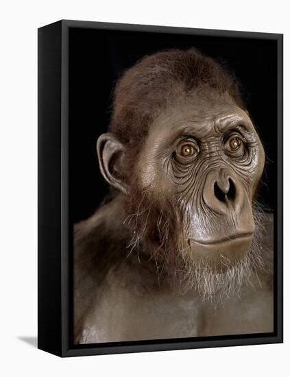 Australopithecus Afarensis-Javier Trueba-Framed Stretched Canvas