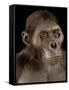 Australopithecus Afarensis-Javier Trueba-Framed Stretched Canvas