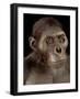 Australopithecus Afarensis-Javier Trueba-Framed Photographic Print