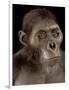 Australopithecus Afarensis-Javier Trueba-Framed Photographic Print