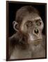 Australopithecus Afarensis-Javier Trueba-Framed Photographic Print