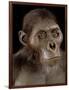 Australopithecus Afarensis-Javier Trueba-Framed Photographic Print