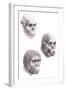 Australopithecus Africanus-Mauricio Anton-Framed Premium Photographic Print