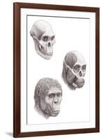 Australopithecus Africanus-Mauricio Anton-Framed Photographic Print