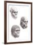 Australopithecus Africanus-Mauricio Anton-Framed Photographic Print