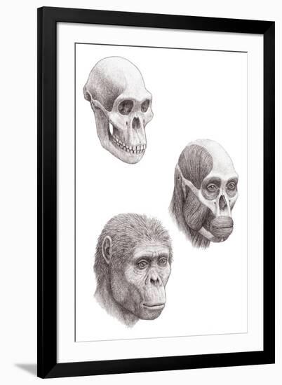 Australopithecus Africanus-Mauricio Anton-Framed Photographic Print