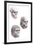 Australopithecus Africanus-Mauricio Anton-Framed Photographic Print