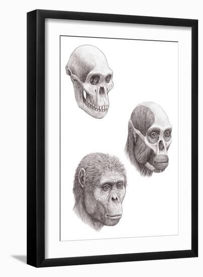 Australopithecus Africanus-Mauricio Anton-Framed Photographic Print