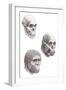 Australopithecus Africanus-Mauricio Anton-Framed Photographic Print