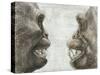 Australopithecus And Chimpanzee Teeth-Kennis and Kennis-Stretched Canvas