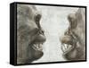 Australopithecus And Chimpanzee Teeth-Kennis and Kennis-Framed Stretched Canvas