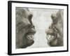 Australopithecus And Chimpanzee Teeth-Kennis and Kennis-Framed Photographic Print