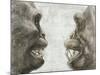 Australopithecus And Chimpanzee Teeth-Kennis and Kennis-Mounted Photographic Print