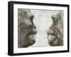 Australopithecus And Chimpanzee Teeth-Kennis and Kennis-Framed Photographic Print