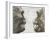 Australopithecus And Chimpanzee Teeth-Kennis and Kennis-Framed Photographic Print