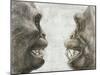 Australopithecus And Chimpanzee Teeth-Kennis and Kennis-Mounted Photographic Print