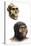 Australopithecus Boisei-Mauricio Anton-Stretched Canvas