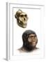 Australopithecus Boisei-Mauricio Anton-Framed Premium Photographic Print