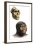 Australopithecus Boisei-Mauricio Anton-Framed Premium Photographic Print