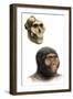 Australopithecus Boisei-Mauricio Anton-Framed Photographic Print