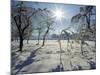 Austria Austrian Tyrol Zillertal Valley Mayrhofen Ski Resort Hippach Village Snow Cover-Christian Kober-Mounted Photographic Print