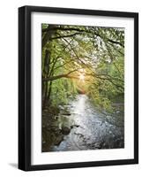 Austria, Baden Near Vienna, Helenental, River Schwechat (Village)-Rainer Mirau-Framed Photographic Print