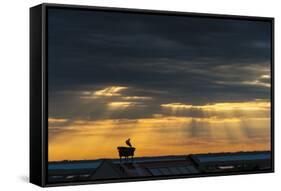 Austria, Burgenland, Morbisch at Sunrise-Udo Bernhart-Framed Stretched Canvas