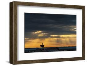 Austria, Burgenland, Morbisch at Sunrise-Udo Bernhart-Framed Photographic Print