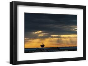 Austria, Burgenland, Morbisch at Sunrise-Udo Bernhart-Framed Photographic Print