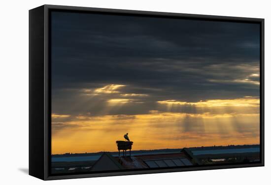 Austria, Burgenland, Morbisch at Sunrise-Udo Bernhart-Framed Stretched Canvas