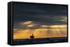 Austria, Burgenland, Morbisch at Sunrise-Udo Bernhart-Framed Stretched Canvas