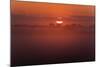 Austria, Burgenland, Neusiedlersee (Lake), Fertš National Park, Sunrise-Rainer Mirau-Mounted Photographic Print