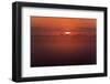 Austria, Burgenland, Neusiedlersee (Lake), Fertš National Park, Sunrise-Rainer Mirau-Framed Photographic Print