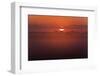 Austria, Burgenland, Neusiedlersee (Lake), Fertš National Park, Sunrise-Rainer Mirau-Framed Photographic Print