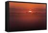 Austria, Burgenland, Neusiedlersee (Lake), Fertš National Park, Sunrise-Rainer Mirau-Framed Stretched Canvas