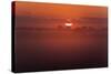 Austria, Burgenland, Neusiedlersee (Lake), Fertš National Park, Sunrise-Rainer Mirau-Stretched Canvas