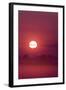 Austria, Burgenland, Neusiedlersee (Lake), Fertš National Park, Sunrise-Rainer Mirau-Framed Photographic Print