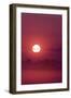 Austria, Burgenland, Neusiedlersee (Lake), Fertš National Park, Sunrise-Rainer Mirau-Framed Photographic Print