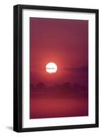 Austria, Burgenland, Neusiedlersee (Lake), Fertš National Park, Sunrise-Rainer Mirau-Framed Photographic Print