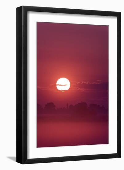 Austria, Burgenland, Neusiedlersee (Lake), Fertš National Park, Sunrise-Rainer Mirau-Framed Photographic Print