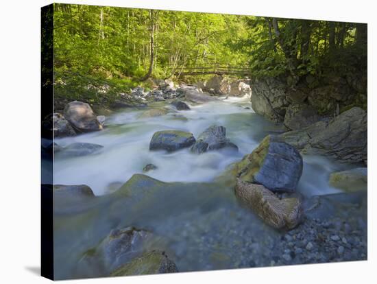 Austria, Carinthia, Mauthner Klamm (Ravine), Valentinbach (Brook), Stones, Bridge-Rainer Mirau-Stretched Canvas