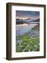 Austria, Carinthia, National Park Hohe Tauern, Hochalmspitze, Schwarzhornsee, Shore, Moss-Rainer Mirau-Framed Photographic Print