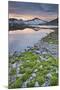 Austria, Carinthia, National Park Hohe Tauern, Hochalmspitze, Schwarzhornsee, Shore, Moss-Rainer Mirau-Mounted Photographic Print