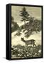 Austria Deer 1891-null-Framed Stretched Canvas