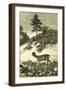 Austria Deer 1891-null-Framed Giclee Print