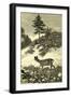 Austria Deer 1891-null-Framed Giclee Print