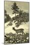 Austria Deer 1891-null-Mounted Giclee Print