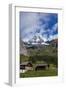 Austria, East Tyrol, High Tauern National Park, Gro§glockner (Mountain-Gerhard Wild-Framed Photographic Print