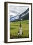 Austria, East Tyrol, Kals (Town), Kirche St. Georg-Gerhard Wild-Framed Photographic Print