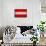 Austria Flag Design with Wood Patterning - Flags of the World Series-Philippe Hugonnard-Framed Stretched Canvas displayed on a wall